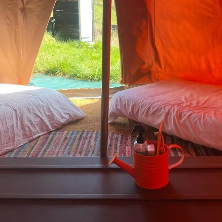 Igloo, Lodge Et Tipi Confortable Luxussátor L'Honor-de-Cos