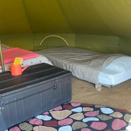 Igloo, Lodge Et Tipi Confortable Luxussátor *